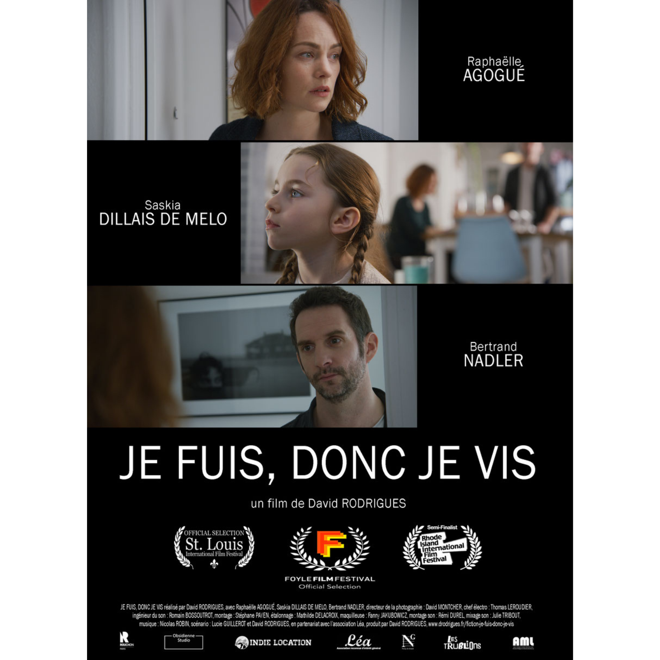 JE FUIS, DONC JE VIS – DAVID RODRIGUES