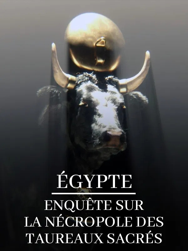 Égypte, Enquête sur la nécropole des taureaux sacrés – Frédéric Wilner